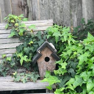 Meet your Posher, Belinda